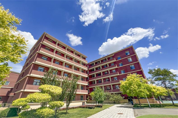 ������_�ƌWУӲ��