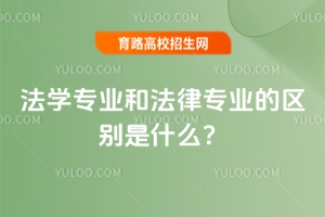 ���W���I�ͷ��Ɍ��I�ą^�e��ʲô��