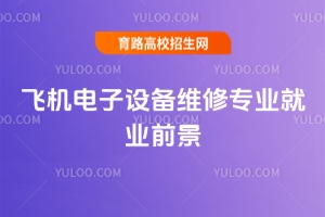 2025年飛機電子設備維修專業就業前景如何?