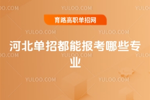 �ӱ����ж��܈���Щ���I��2026��俼������ָ��