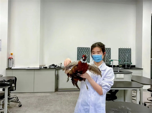 ���b��(y��u)�㮅�I(y��)��