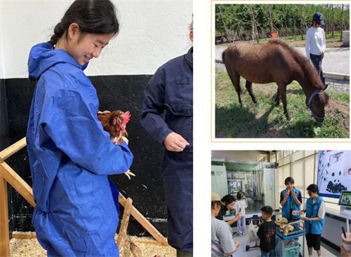 ���b��(y��u)�㮅�I(y��)��