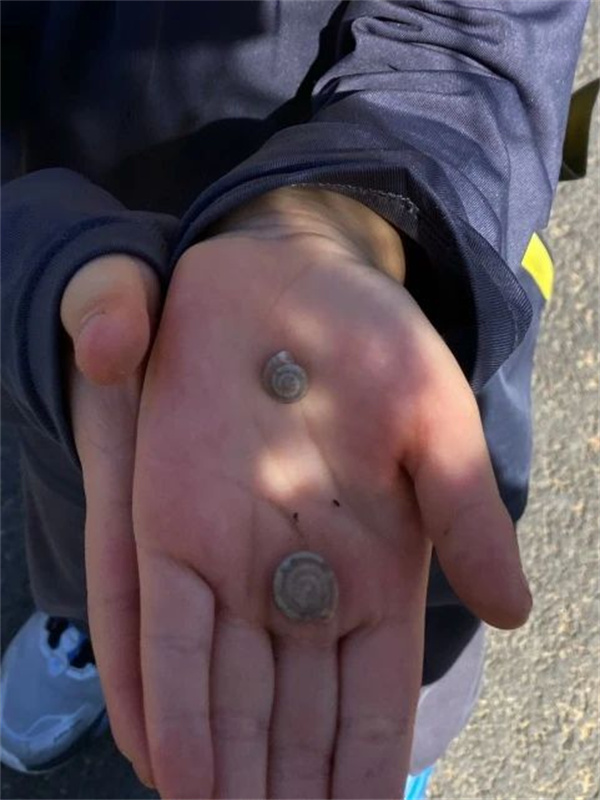 ��ꖄP�ČW(xu��)ǰ���n���w�(y��n)