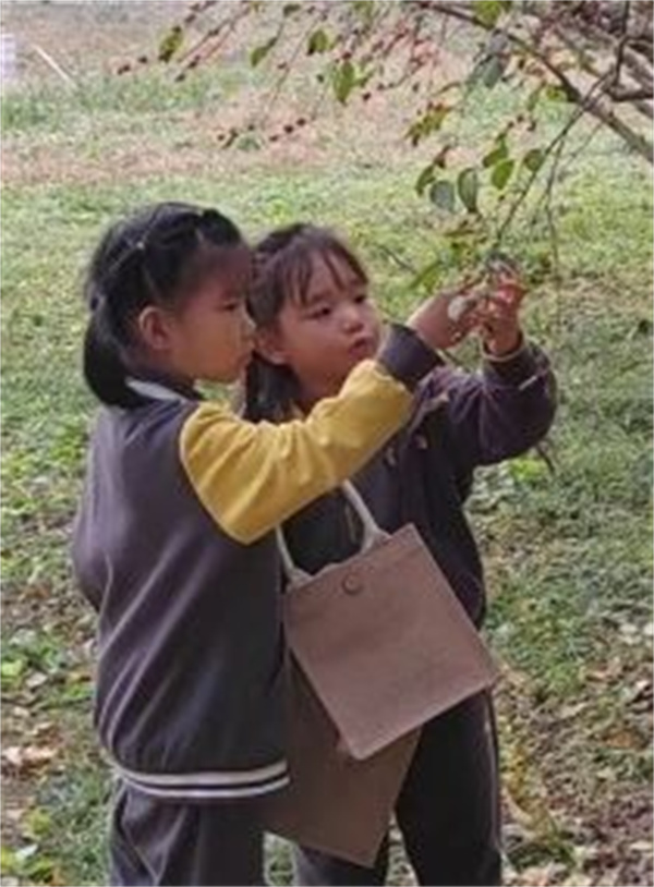 ��ꖄP�ČW(xu��)ǰ���n���w�(y��n)