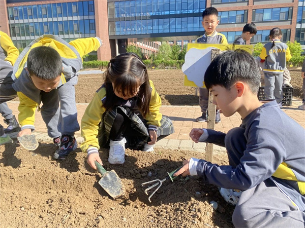 ��ꖄP�ČW(xu��)ǰ���n���w�(y��n)