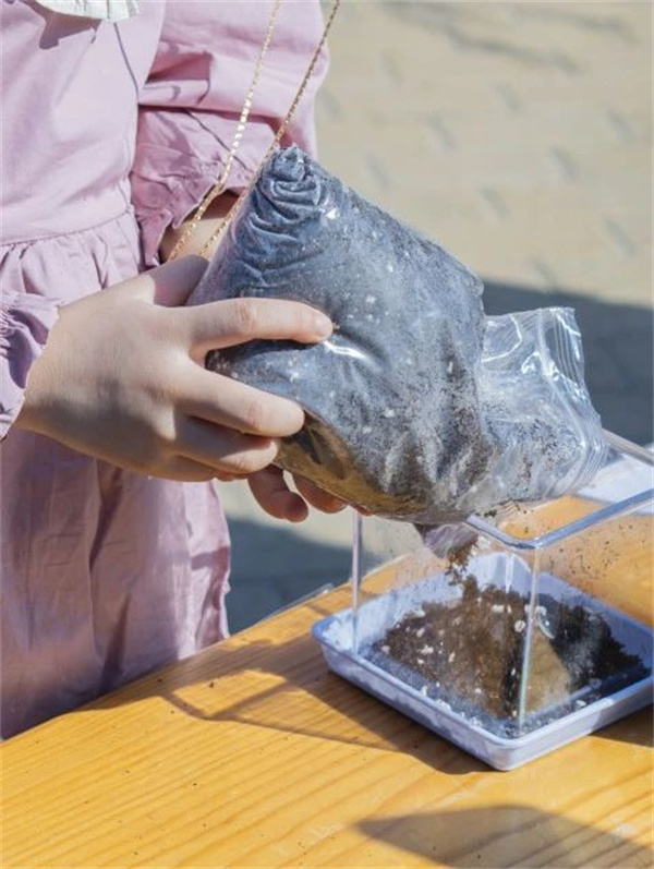 ��ꖄP�ČW(xu��)ǰ���n���w�(y��n)