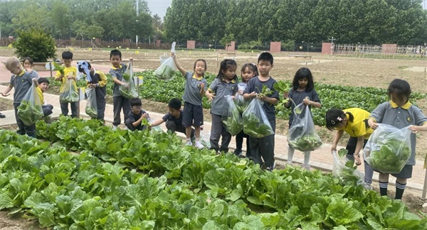 ��ꖄP�ČW(xu��)ǰ���n���w�(y��n)