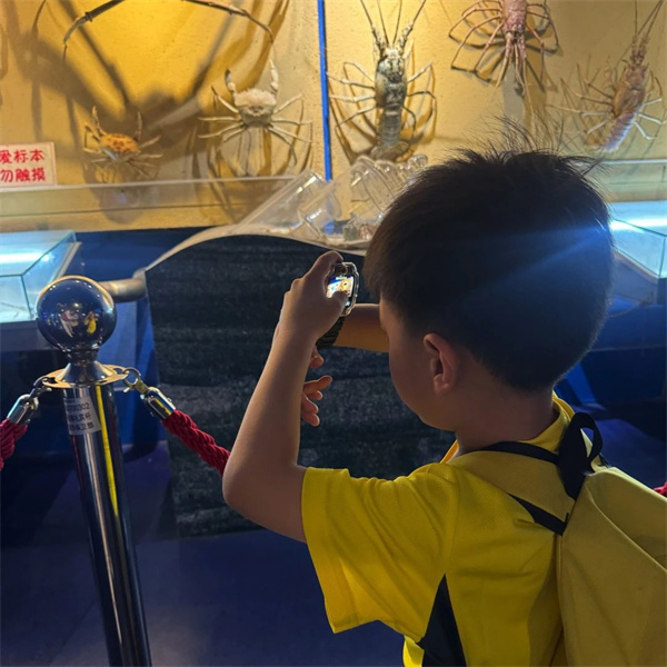 ��ꖄP�ČW(xu��)ǰ���n���w�(y��n)