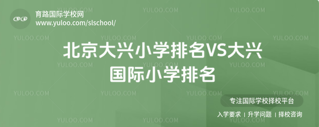 北京大興小學排名VS大興國際小學排名