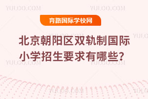 2025�걱����ꖅ^(q��)�p܉�Ƈ��HС�W(xu��)����Ҫ������Щ��