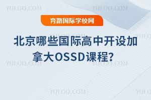 2025�걱����Щ���H�����_�O���ô�OSSD�n�̣�