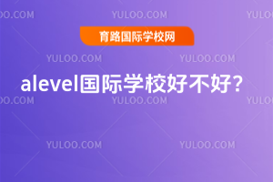 alevel���H�WУ�ò��ã�