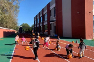 205d55f37bd7bc2c322c0ac7f639d4b0