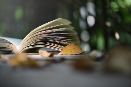 天津私立小學跨區招生政策