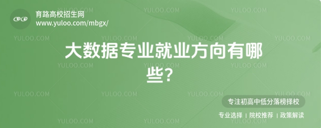 大數據就業方向