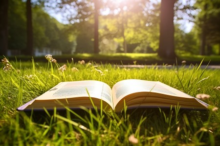 北京私立學校跨區招生政策