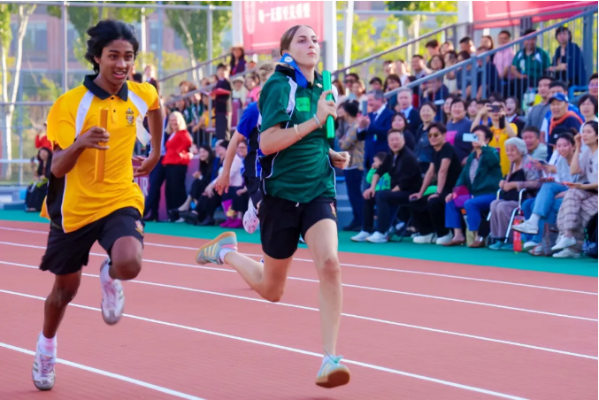 ���������w����(ji��)