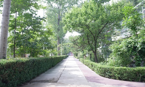 國賢BIC國際高中學部