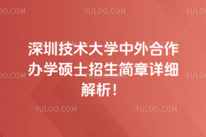 深圳技術大學中外合作辦學碩士招生簡章詳細解析!