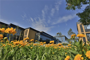 ����P�ČWУ