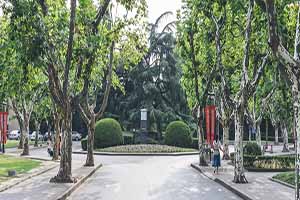 ���չ��I(y��)��(j��ng)��(j��)�I(y��)���g(sh��)�W(xu��)Ժ