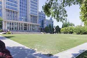 ���ս�ͨ�I(y��)���g(sh��)�W(xu��)Ժ