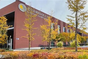 ������ꖄP��