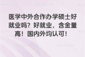 醫學中外合作辦學碩士好就業嗎?好就業,含金量高!國內外均認可!