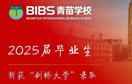 青苗學子連年創錄取佳績:體系化指導,讓每個夢想都有枝可依